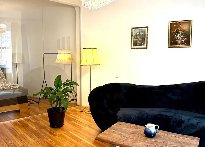 公寓 Comfy 93 Sqm 维也纳